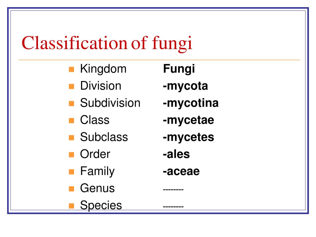 Ppt Taxonomy Biology And Physiology Of Fungi Powerpoint Presentation 