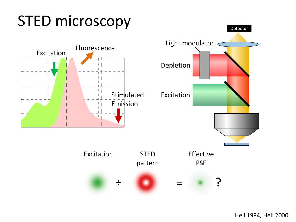 PPT Super Resolution Optical Microscopy PowerPoint Presentation Free 
