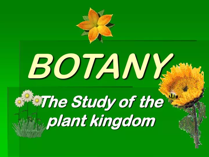 PPT BOTANY PowerPoint Presentation Free Download ID 6265282