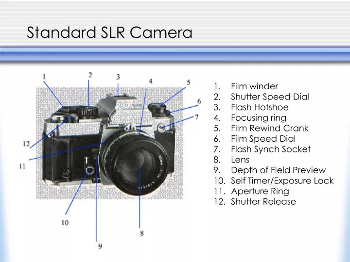 Slr Camera Basic Tutorial PPT - Standard SLR Camera PowerPoint Presentation, free download - ID ...