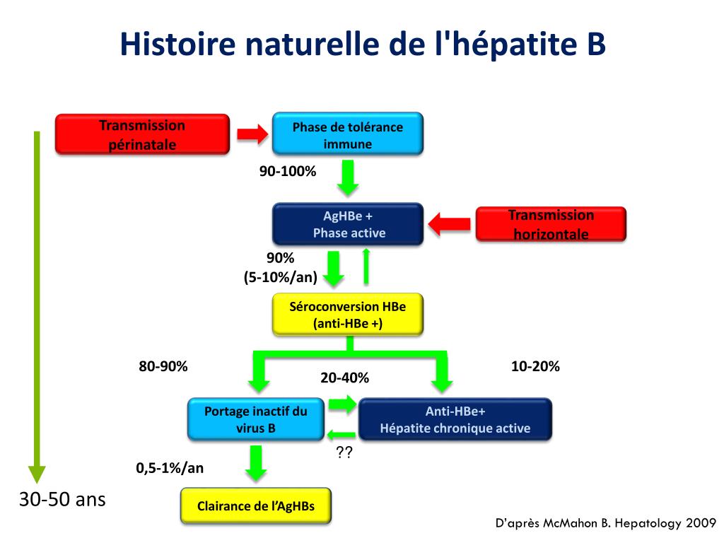 PPT - Hépatite Chronique B PowerPoint Presentation, Free Download - ID ...