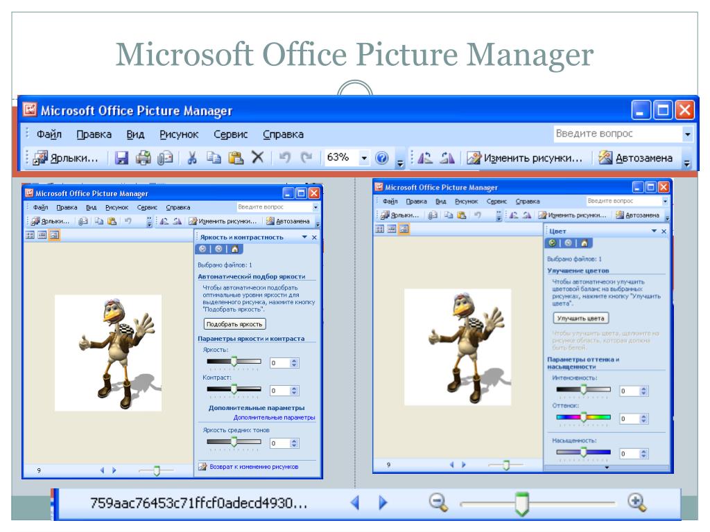 Майкрософт пикчер. Майкрософт пикчер менеджер. Редактор изображений офис. Фоторедактор Майкрософт. Диспетчер рисунков Microsoft Office.