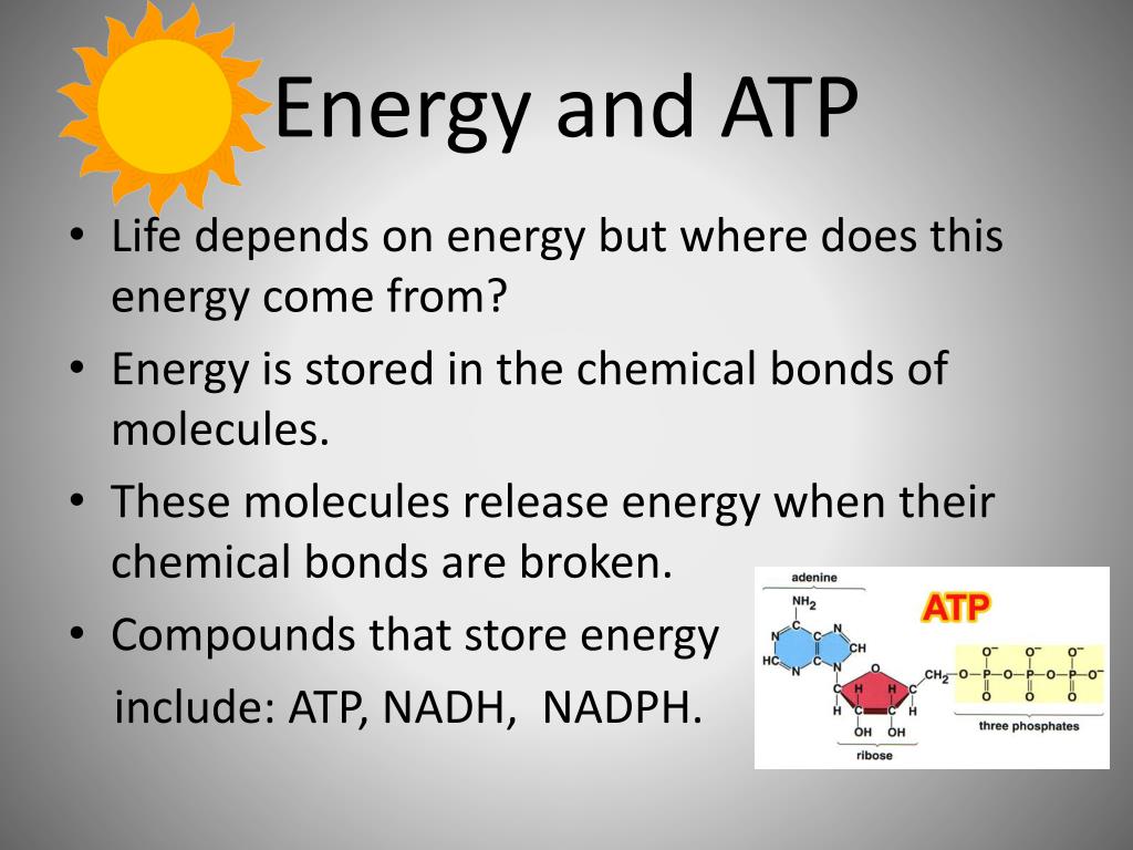 PPT Energy and ATP PowerPoint Presentation, free download ID6269243