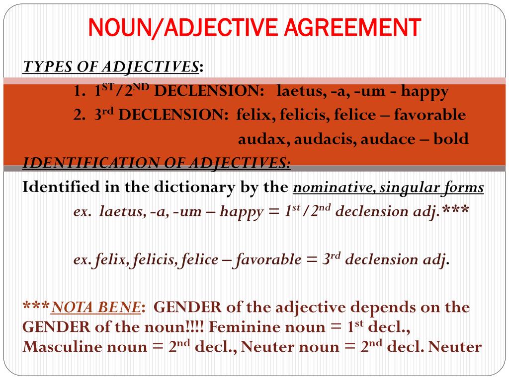 can a noun be an adjective