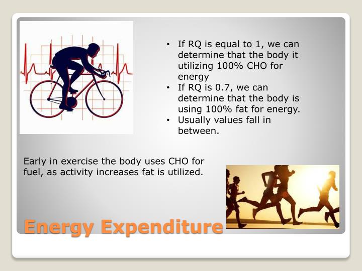 PPT - Respiratory Quotient PowerPoint Presentation - ID PPT - Respiratory Quotient PowerPoint Presentation - ID