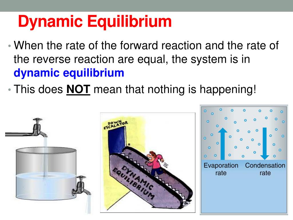 PPT - Equilibrium PowerPoint Presentation, free download - ID:6271487
