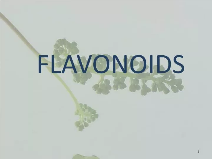 PPT FLAVONOIDS PowerPoint Presentation, free download ID6274328