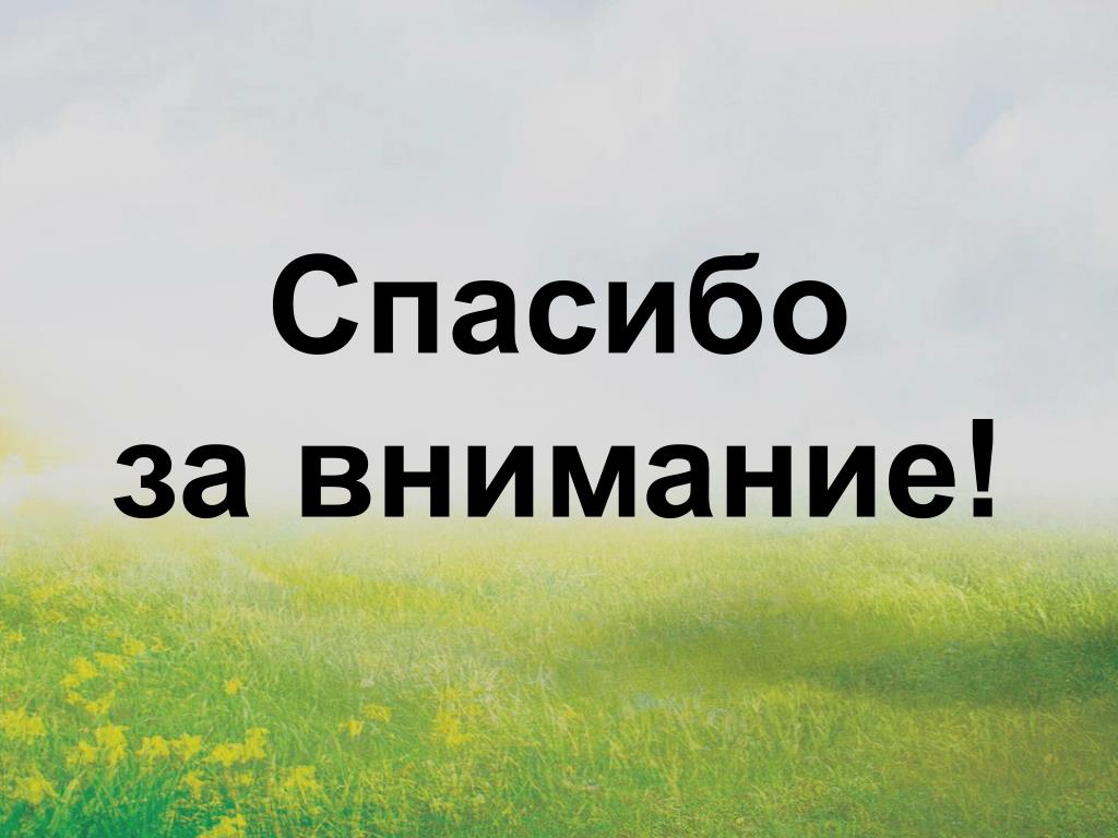 Спасибо за внимание экология