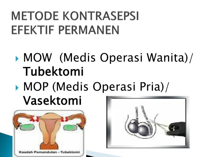 PPT - KELUARGA BERENCANA PowerPoint Presentation - ID:6280072