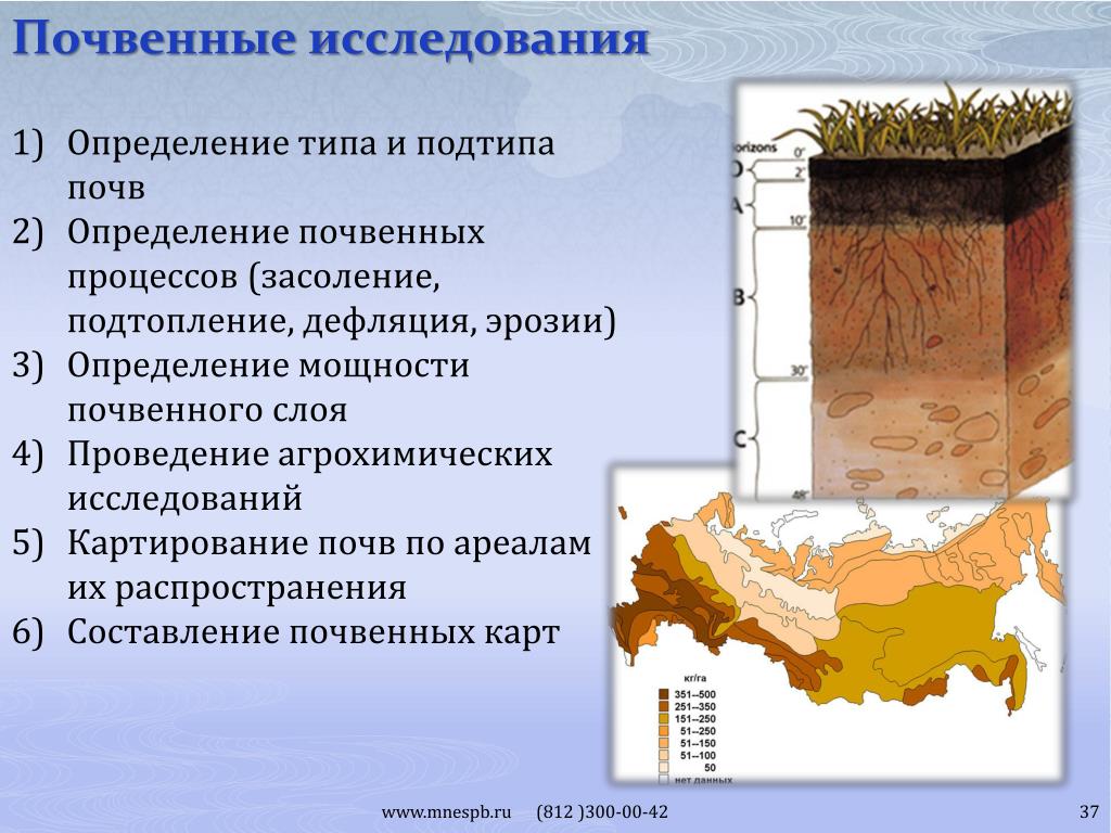 PPT - Биотестирование почв Старокулаткинского района PowerPoint Presentation - I