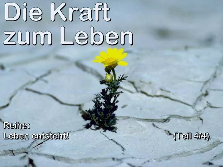 PPT Die Kraft zum Leben PowerPoint Presentation, free download ID