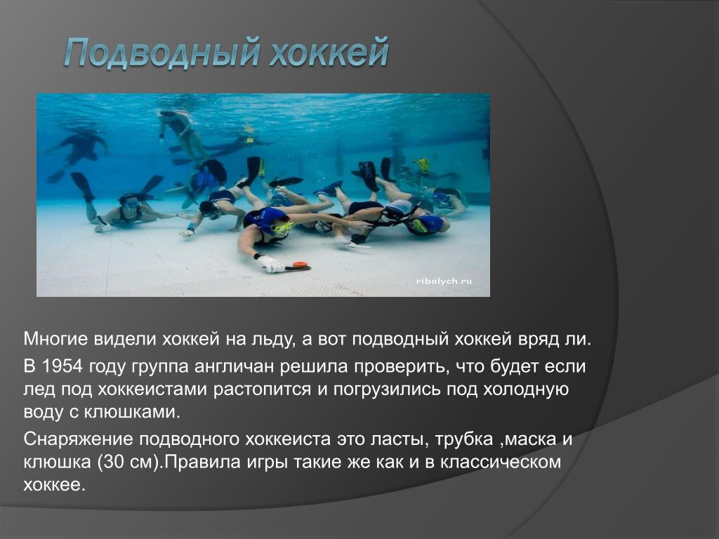 Хоккей купание. Подводный хоккей. Подводный хоккей презентация. Подводный хоккей доклад. Правила игры в подводный хоккей.