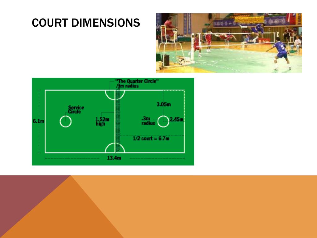 Court Dimensions L 