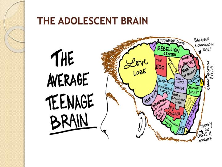 understanding the young adolescent essay Introduction the transition of young people with long term conditions from childhood to adulthood, and the part health services should play in the transfer of their healthcare, have come to prominence in the last ten years. understanding the young adolescent essay Introduction the transition of young people with long term conditions from childhood to adulthood, and the part health services should play in the transfer of their healthcare, have come to prominence in the last ten years.