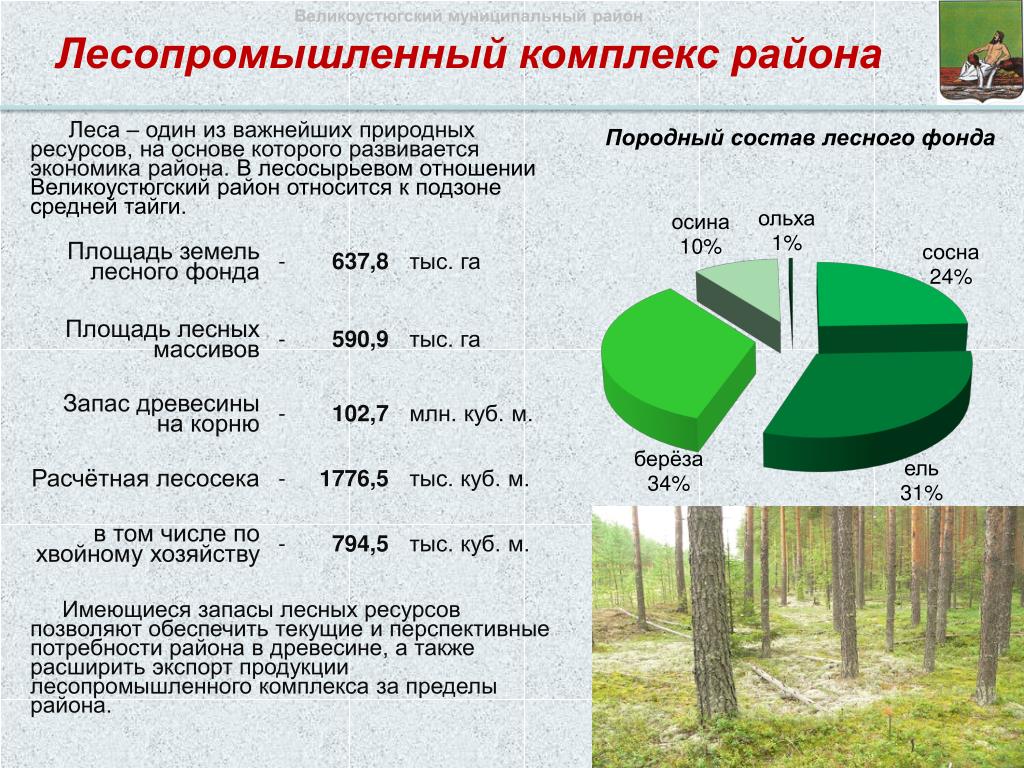 Какой процент россии занимают лесные зоны