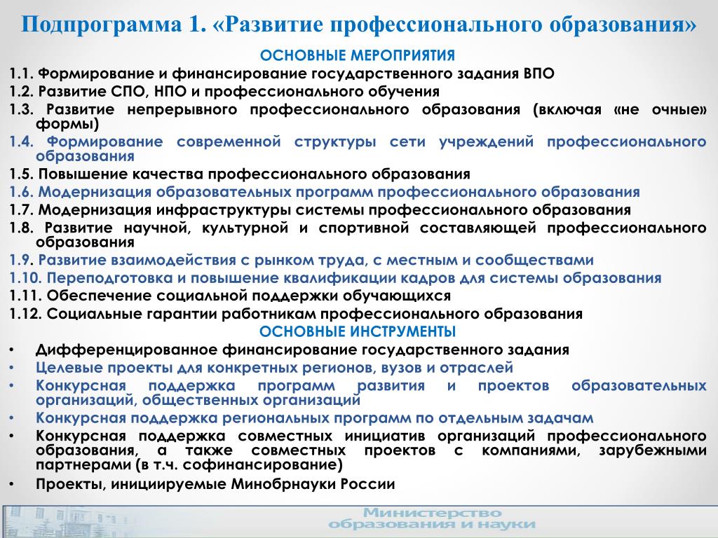Образование