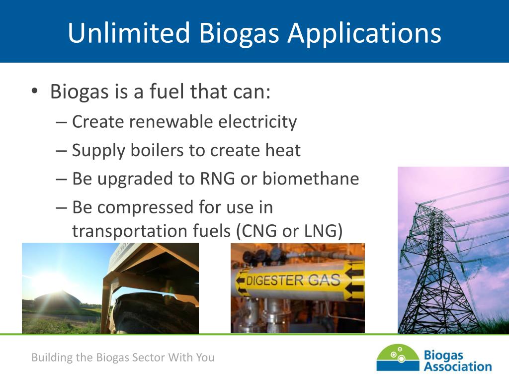 PPT - [insert title of speaking engagement] Opportunities in Biogas ...