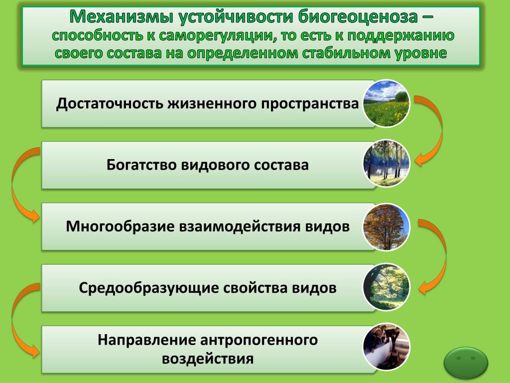 Примером биогеоценоза может служить организм человека. Причины устойчивости экосистем. Прияины цстойчиуости экосисг. Причина устойчивости э. Причины устойчивости биогеоценозов.