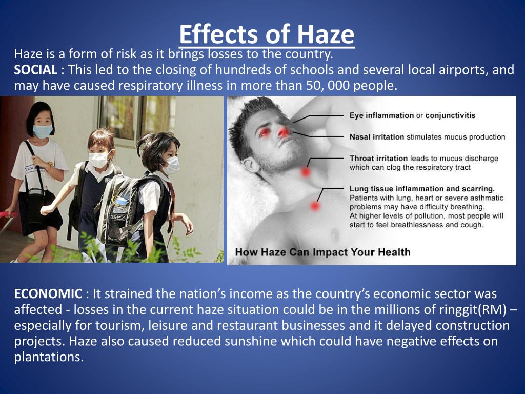 causes of haze essay