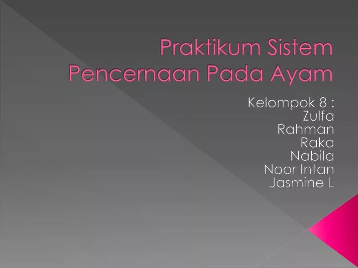 PPT - Praktikum Sistem Pencernaan Pada Ayam PowerPoint Presentation