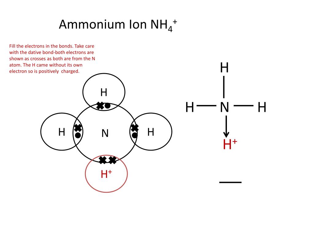 ammonium ion bonding