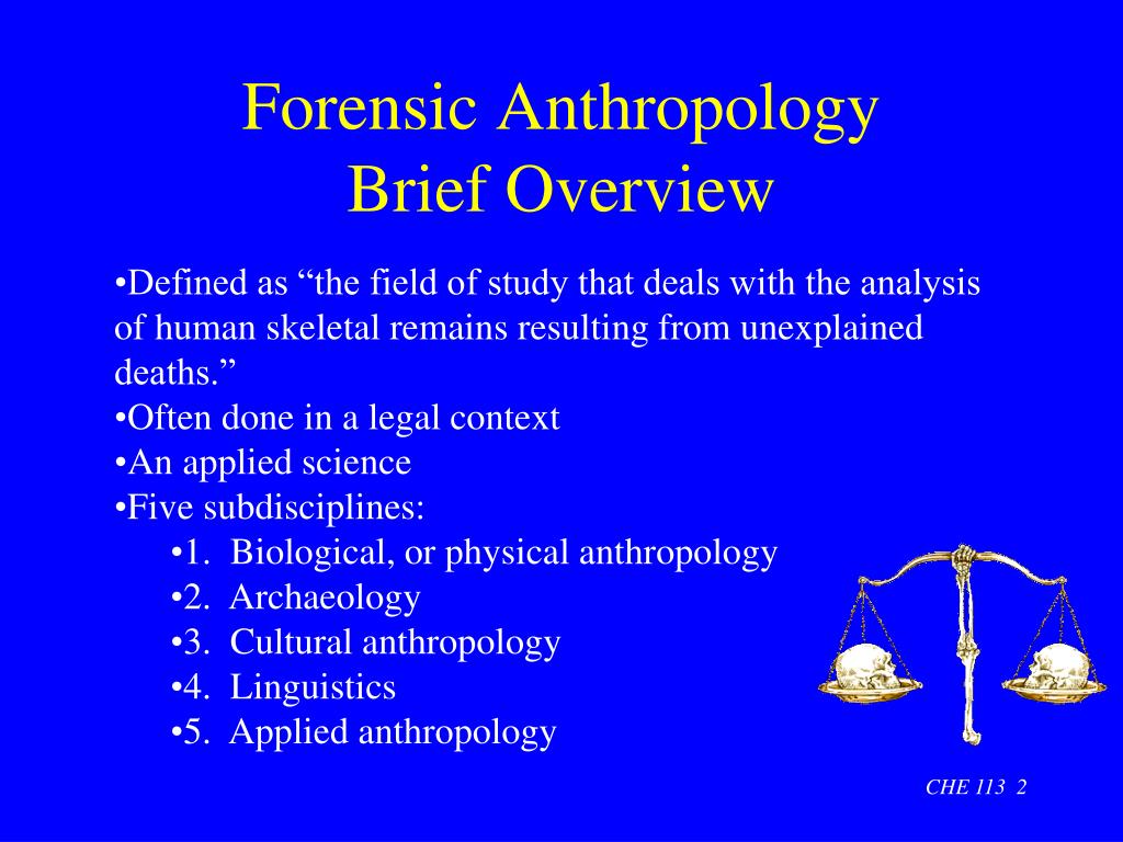 thesis statement for forensic anthropology
