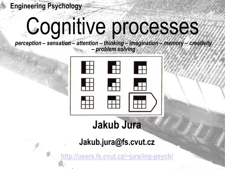 PPT - Cognitive processes PowerPoint Presentation, free download -  ID:6303506