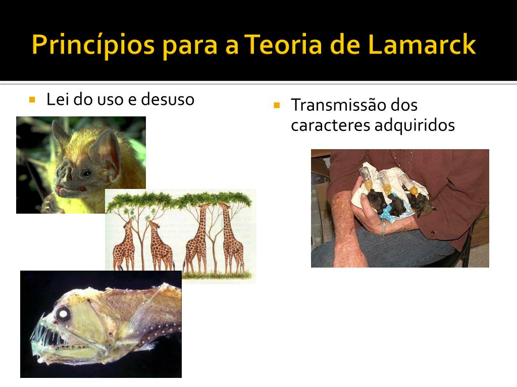 PPT - Teorias sobre Origem da Vida (página 52 a 57) PowerPoint ...