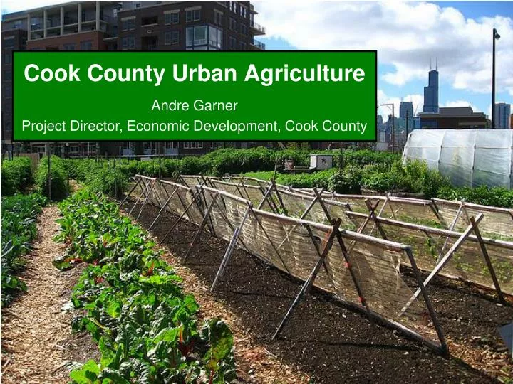 cook county urban agriculture n.