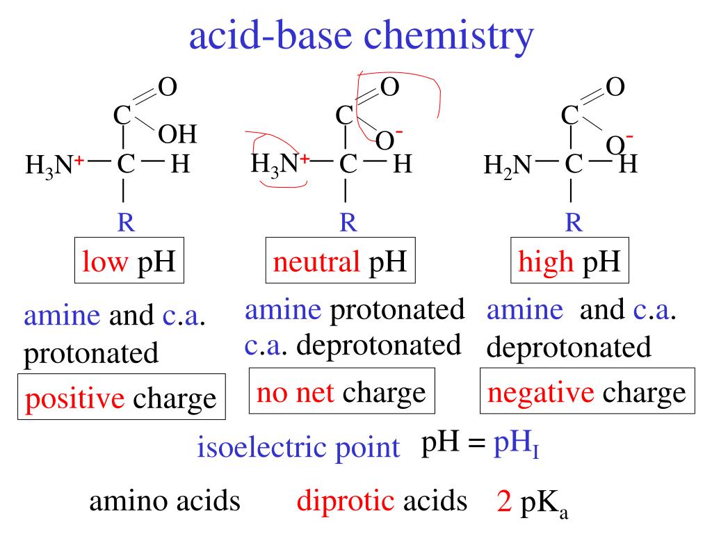 Amino acid. Neutral Amino acids. Amino acids nomenclature. Amino acid acid. Positive charge Amino acids.