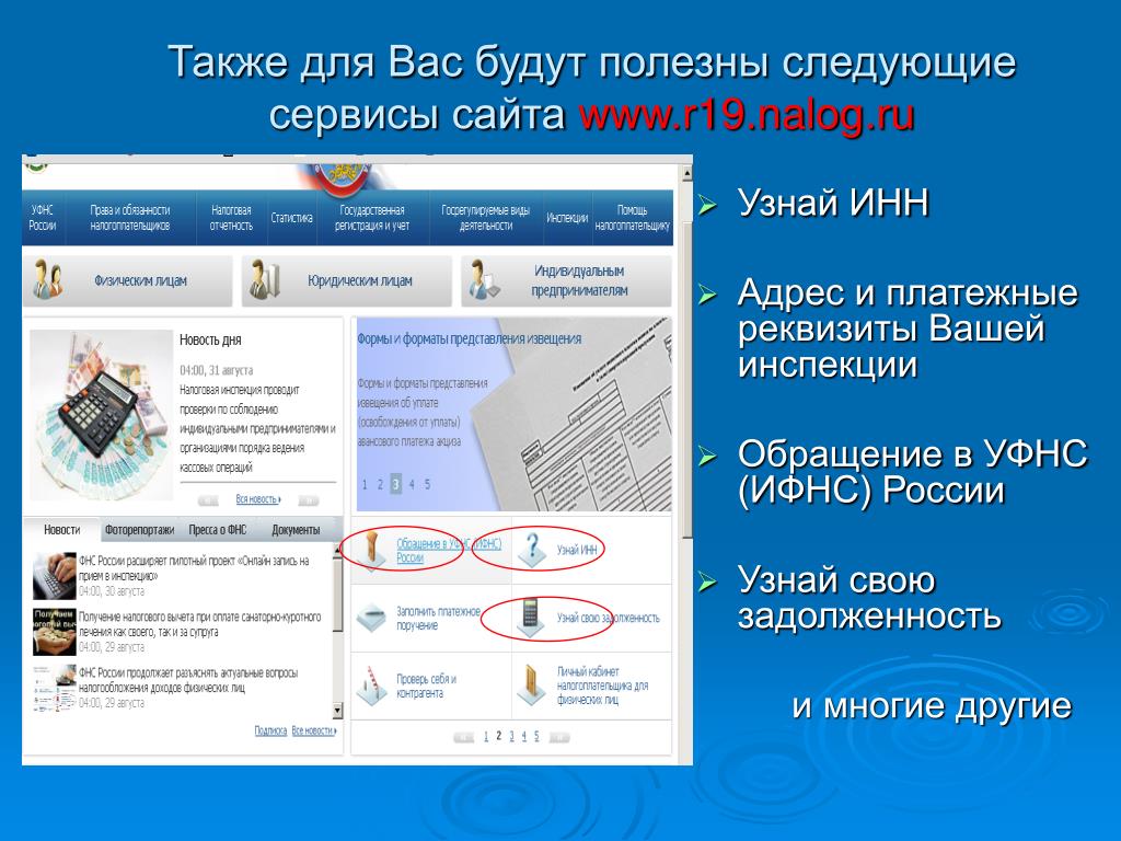 Сервисы сайта это. Адрес и платежные реквизиты вашей инспекции. ИНН В адресе сайта. Www.nalog.gov.ru "адрес и платёжные реквизиты вашей инспекции".