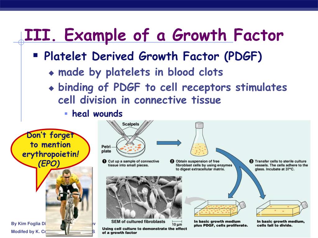 growth factor hypothesis