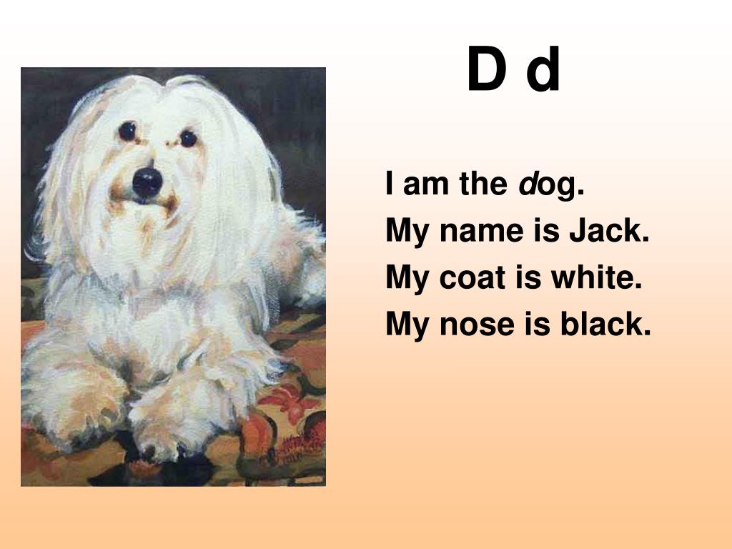 Собака на английском написать. Стих про собаку на английском. Стихотворение по английскому про собаку. Стихотворение на англ языке. Стишок про собаку на английском для детей.