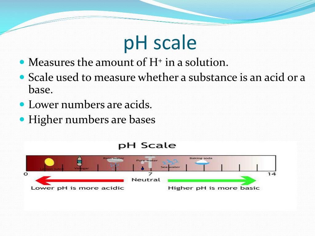 PPT The PH And POH Scales PowerPoint Presentation Free Download ID