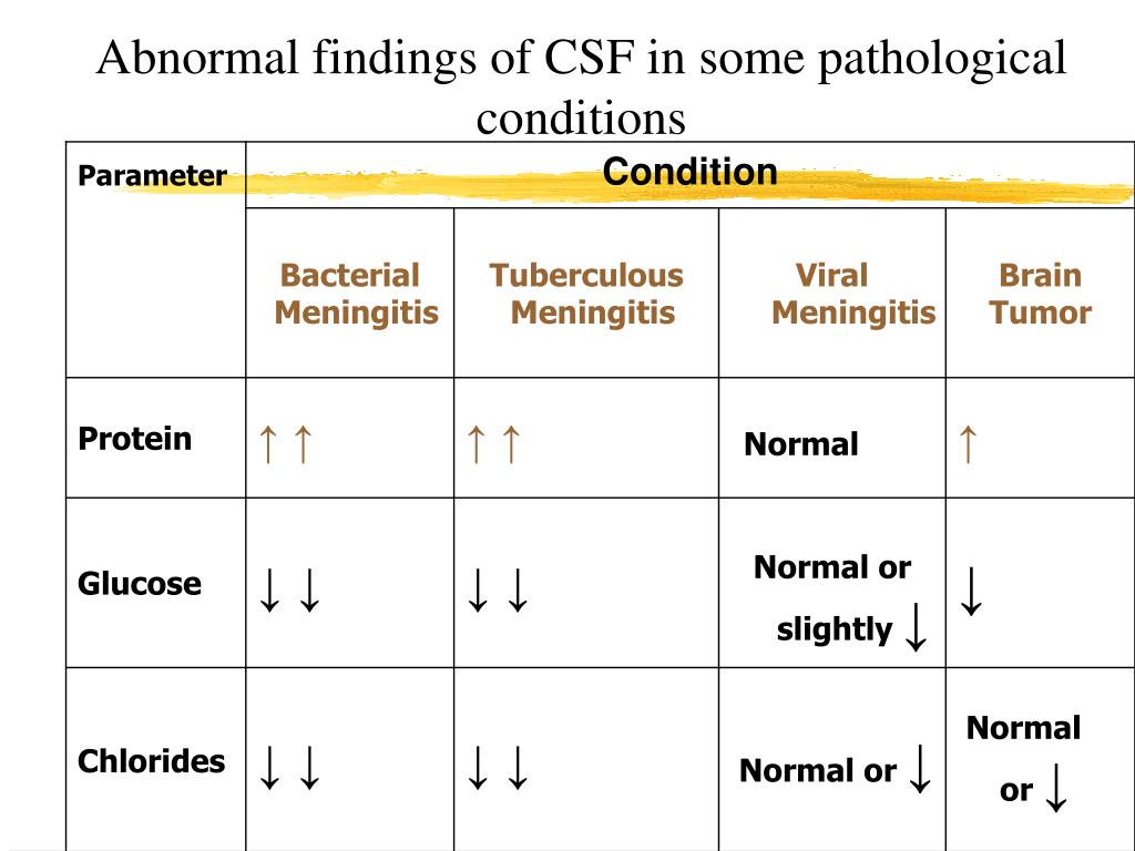 How High Is Csf Protein In Ms at Shelly Hardin blog