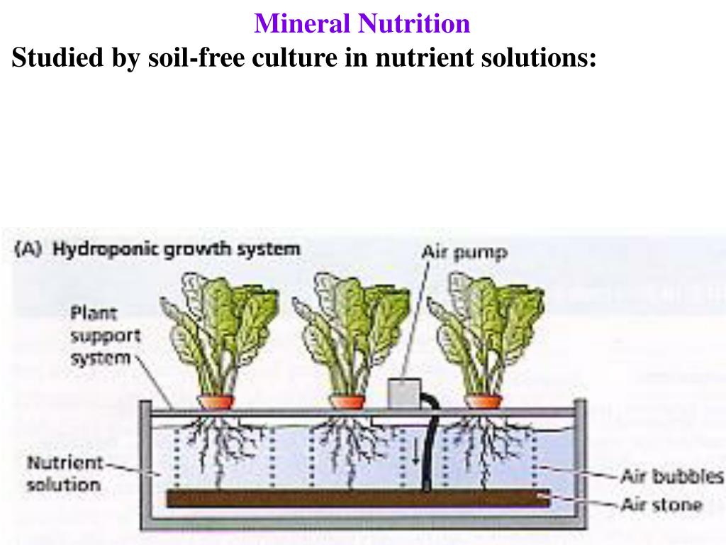 Nft как работает. Nutrient Soil. Minerals in Soils. Plants nutrients. Nutrients in Soil.