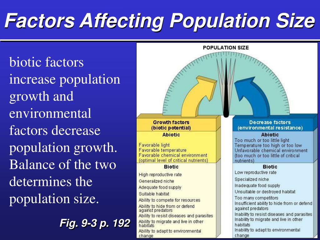 factors affecting group dynamics ppt