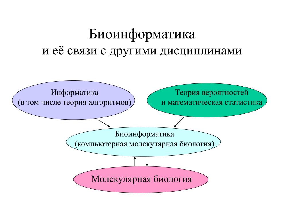 Биология и информатика. Биоинформатика презентация. Основные задачи биоинформатики. Биоинформатика это наука.