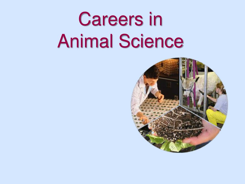 PPT - Careers in Animal Science PowerPoint Presentation, free download -  ID:6311891