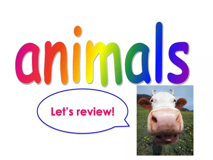 save wildlife ppt download save wildlife ppt download