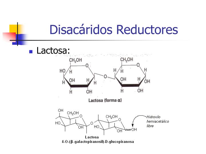 disacaridos reductores
