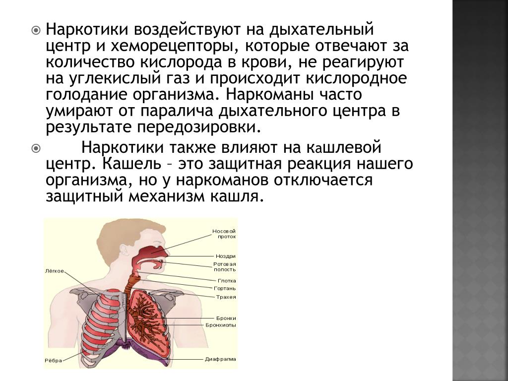 Проект влияние углекислого газа на дыхательный центр