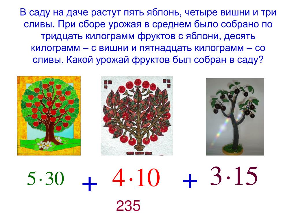 В саду растут 36 яблонь составляет. В саду растут яблони. Что растет в саду. Математическая яблоня примеры.