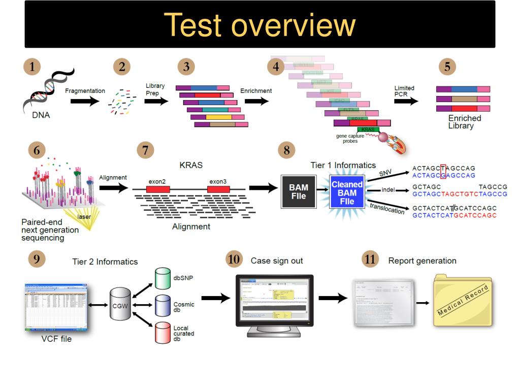 Ngs. NGS (next Generation sequencing). Метод NGS. NGS панель. Введение в NGS.