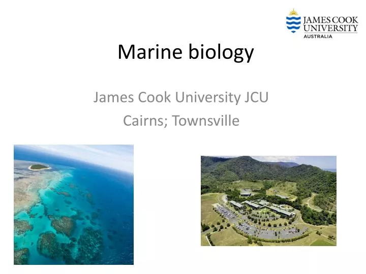 PPT Marine Biology PowerPoint Presentation Free Download ID 6321995