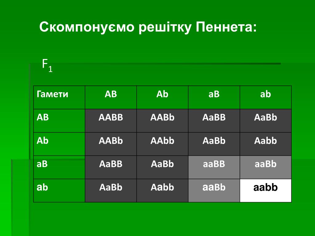 Какие типы гамет образуют организмы с генотипом. AABB * AABB решётка Пеннета. Решетка Пеннета ААВВ ААВВ. Решетка Пеннета ААВВ X AABB. Решетка Пеннета 3 Гена.