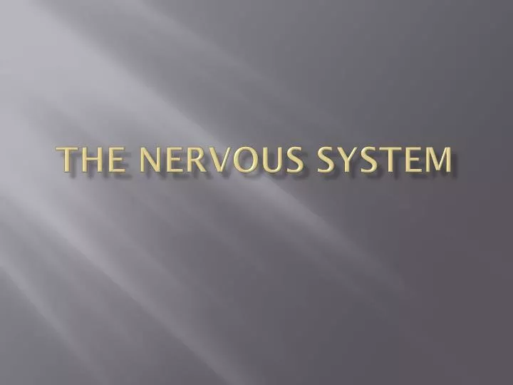 the nervous system n.