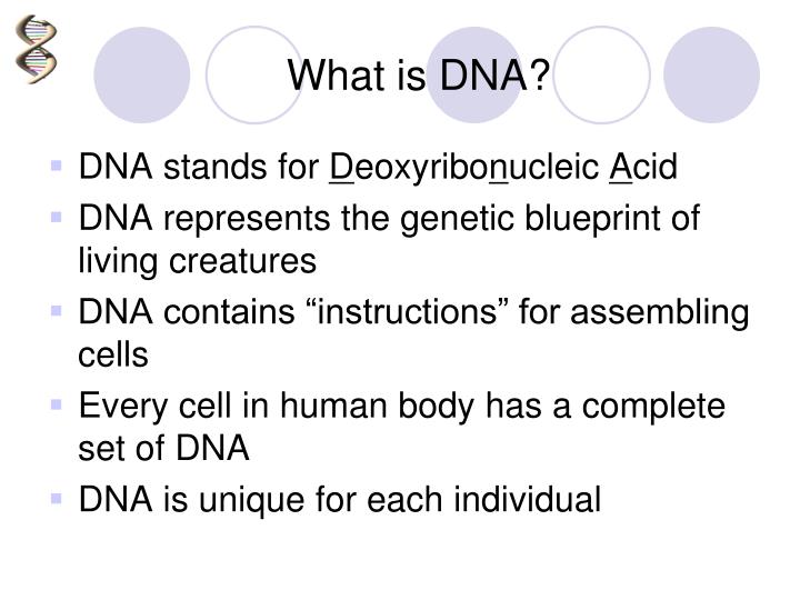 biomolecular computing ppt