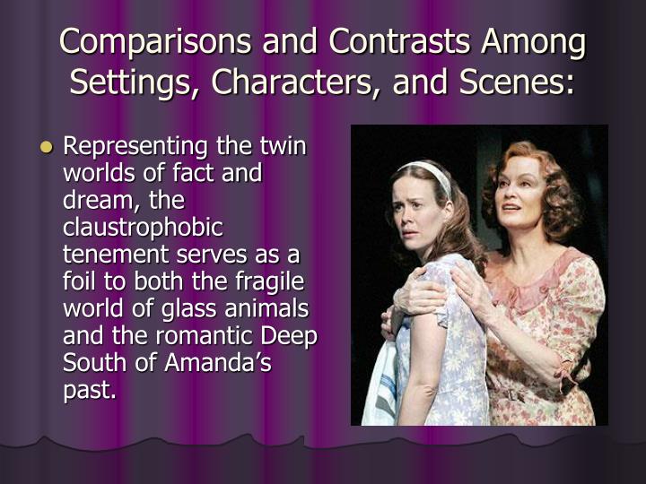 compare and contrast the representation of compare and contrast the representation of