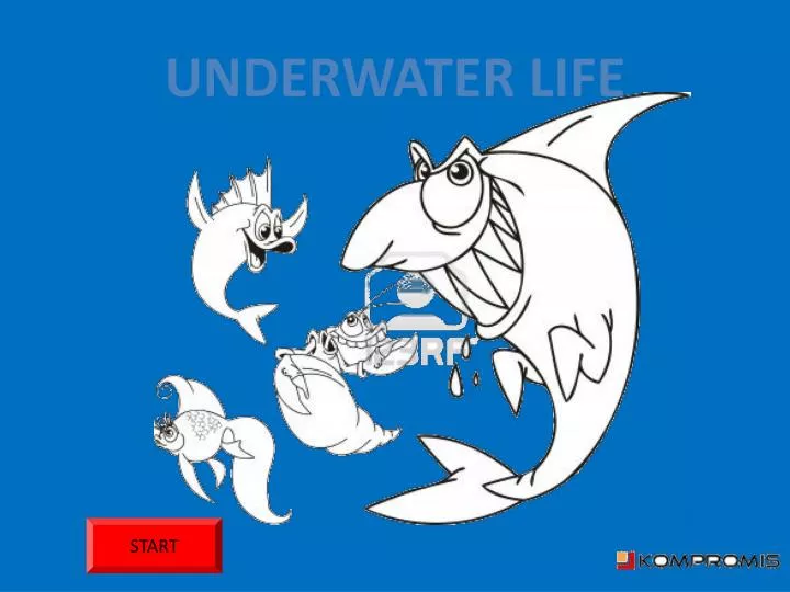 underwater animations for powerpoint underwater animations for powerpoint